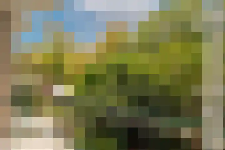 Buisweg 26 Hilversum thumbnail 10