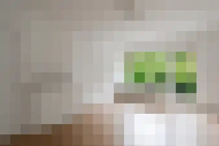 Buisweg 26 Hilversum thumbnail 12