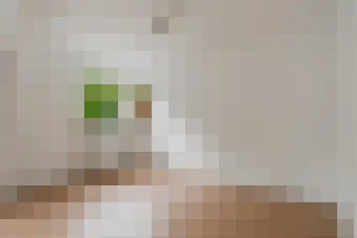 Buisweg 26 Hilversum thumbnail 15