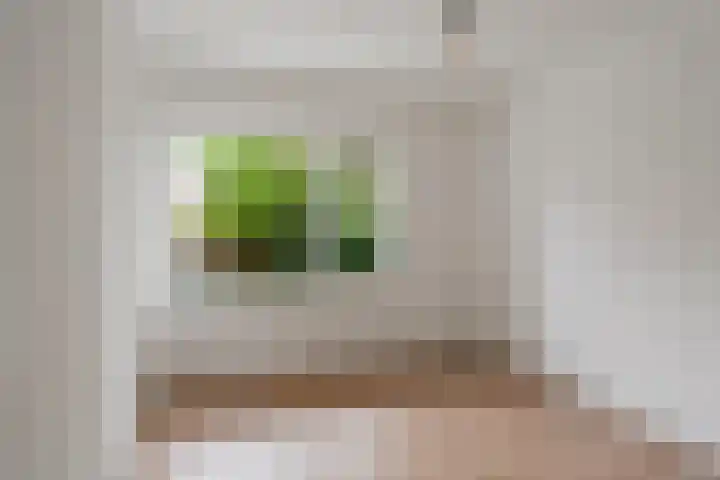Buisweg 26 Hilversum thumbnail 17