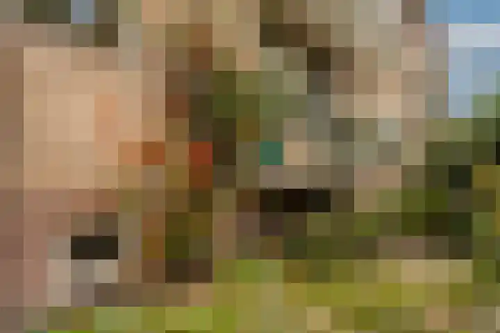 Buisweg 26 Hilversum thumbnail 34
