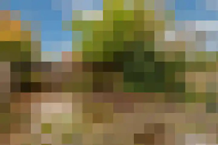 Buisweg 26 Hilversum thumbnail 35