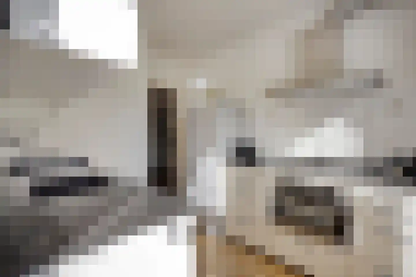 Buisweg 4 Hilversum thumbnail 19