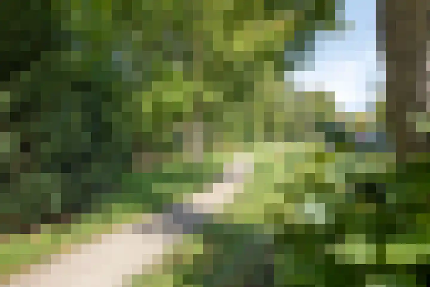 Buisweg 4 Hilversum thumbnail 31