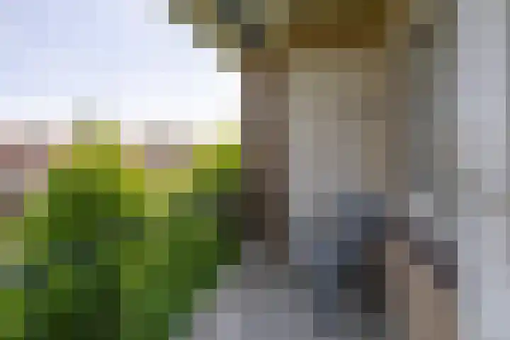 Buisweg 6 Hilversum thumbnail 13