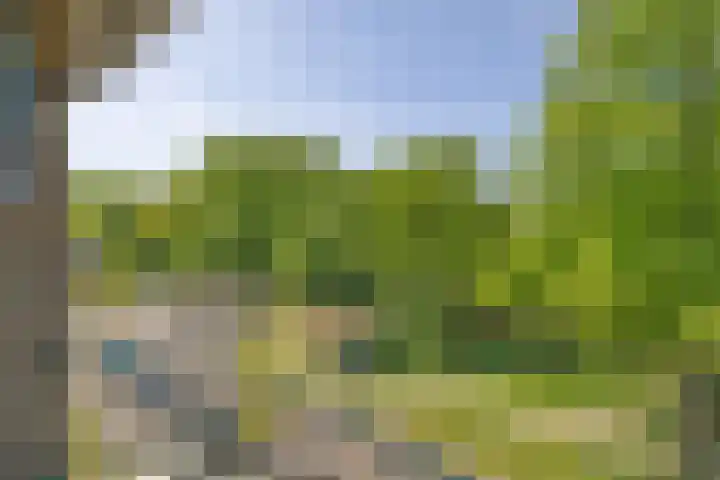 Buisweg 6 Hilversum thumbnail 19