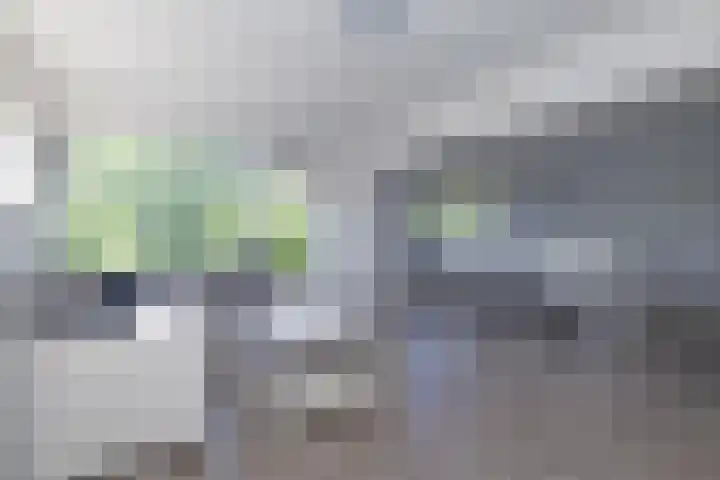 Buisweg 6 Hilversum thumbnail 6