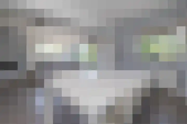 Buisweg 6 Hilversum thumbnail 8