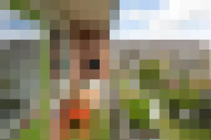 Buisweg 94 Hilversum thumbnail 17