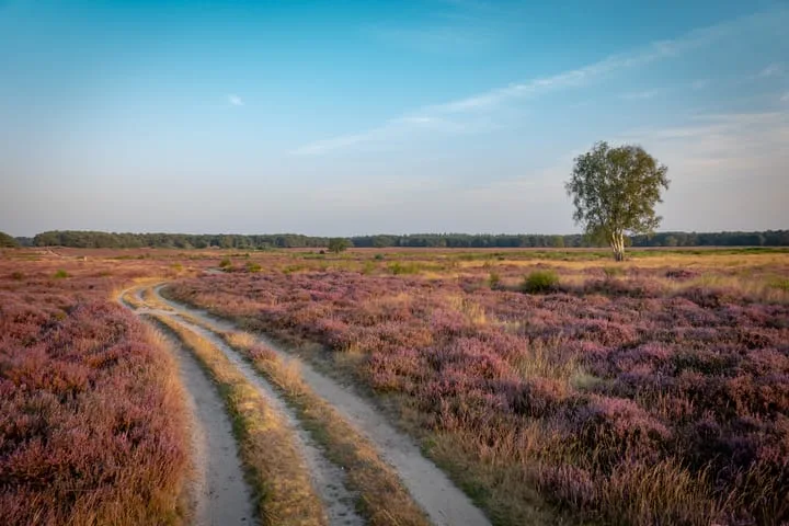 Buisweg 96 Hilversum thumbnail 18