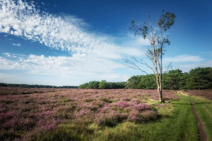 Buisweg 96 Hilversum thumbnail 19