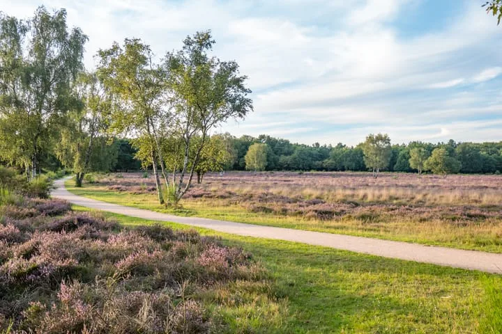 Buisweg 96 Hilversum thumbnail 20