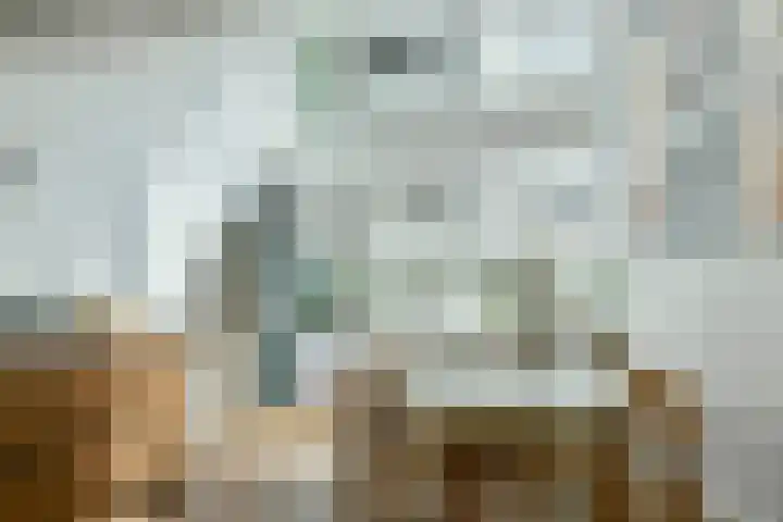Buiten Brouwersstraat 4 Amsterdam thumbnail 4