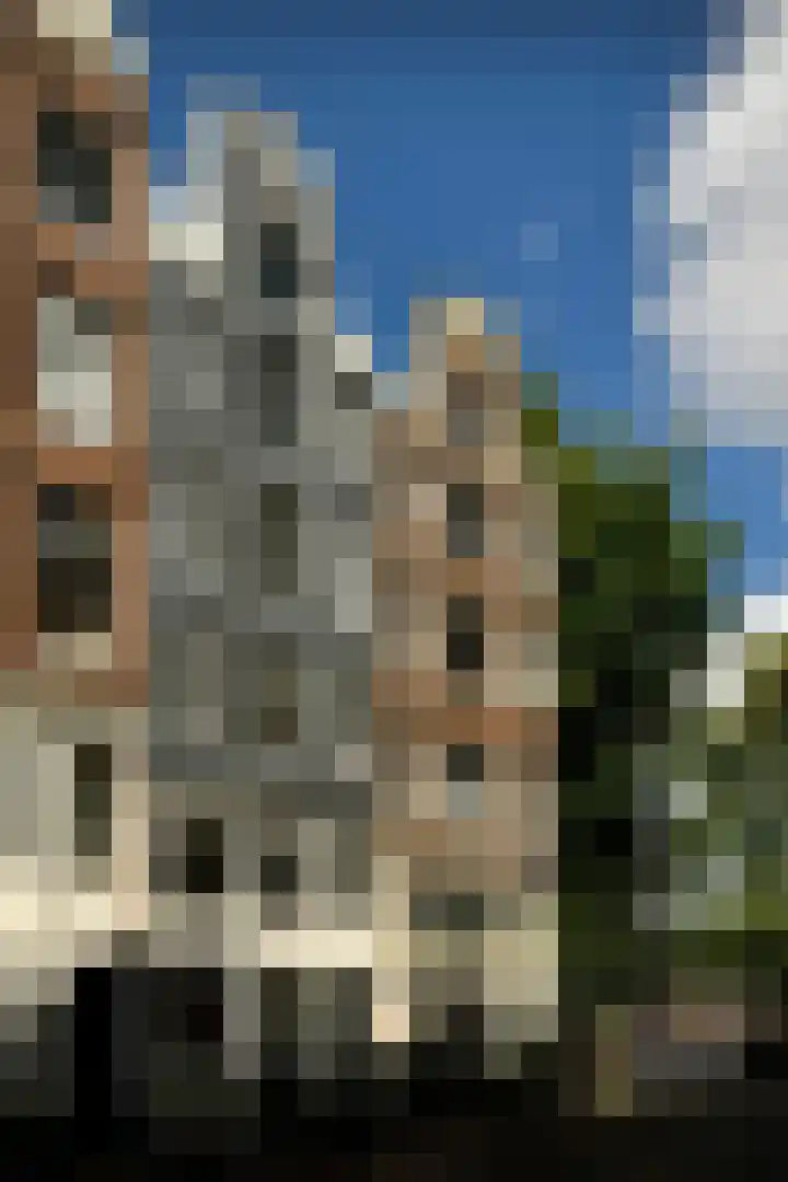 Buiten Brouwersstraat 4 Amsterdam thumbnail 5