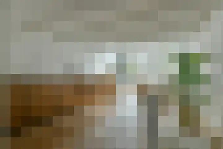 Buiten Brouwersstraat 4 Amsterdam thumbnail 7