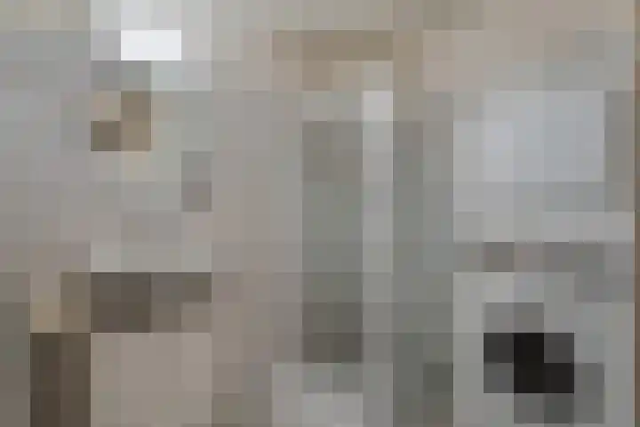 Buiten de Enkpoort 16 Hasselt thumbnail 12