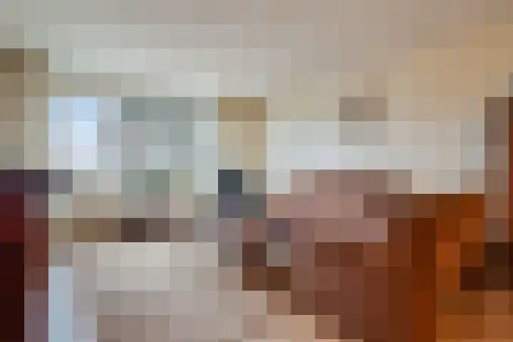 Buiten de Enkpoort 16 Hasselt thumbnail 16