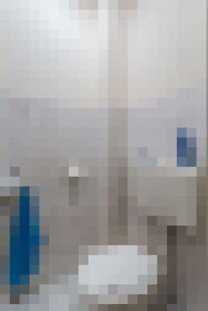 Buiten de Enkpoort 16 Hasselt thumbnail 5