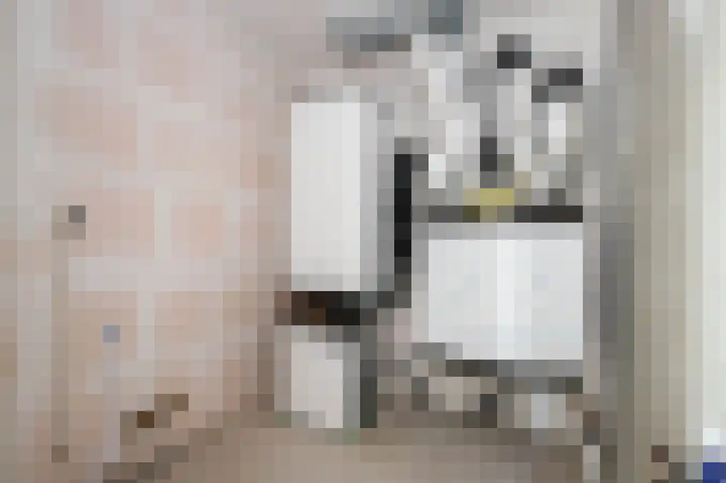 Buiten de Veerpoort 107 Schoonhoven thumbnail 10
