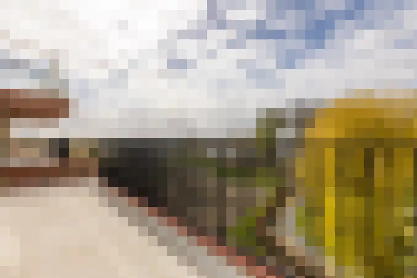 Buiten de Veerpoort 109 Schoonhoven thumbnail 25
