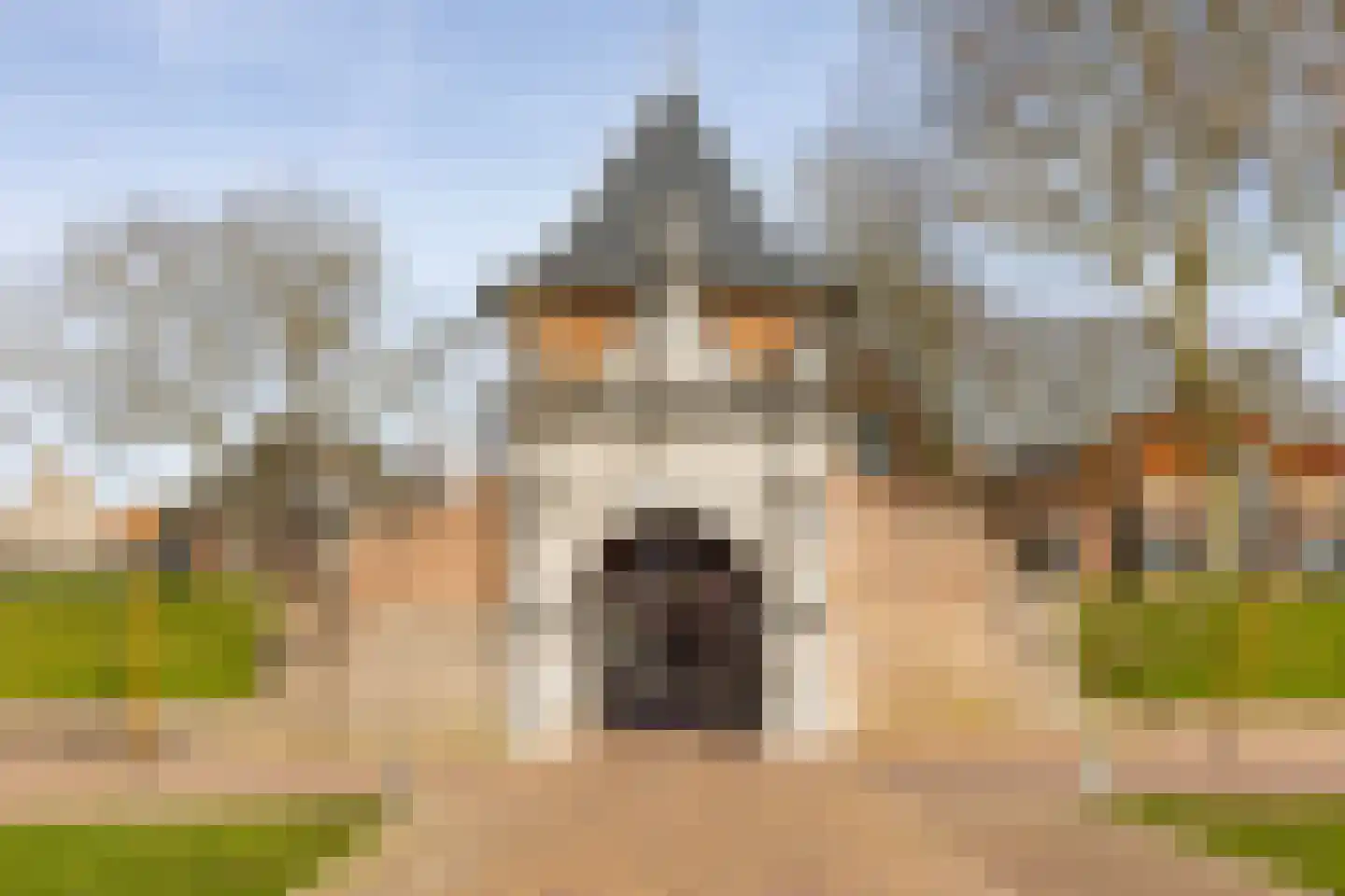 Buiten de Veerpoort 109 Schoonhoven thumbnail 59