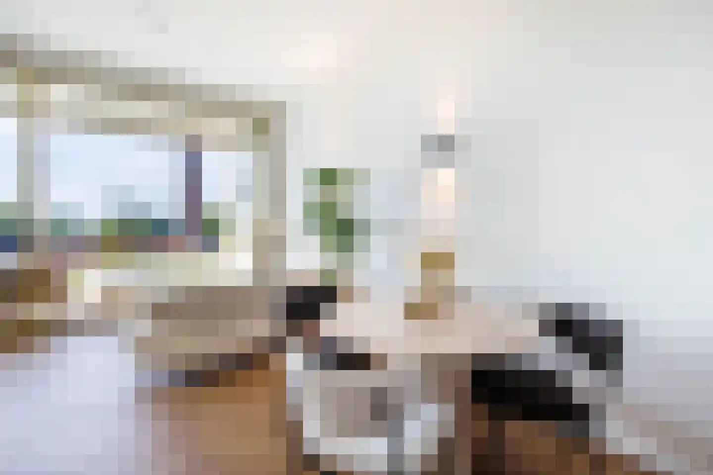 Buiten de Veerpoort 35 Schoonhoven thumbnail 23