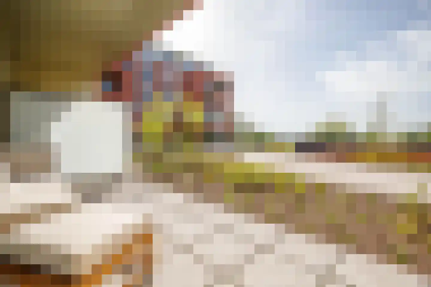 Buiten de Veerpoort 35 Schoonhoven thumbnail 29