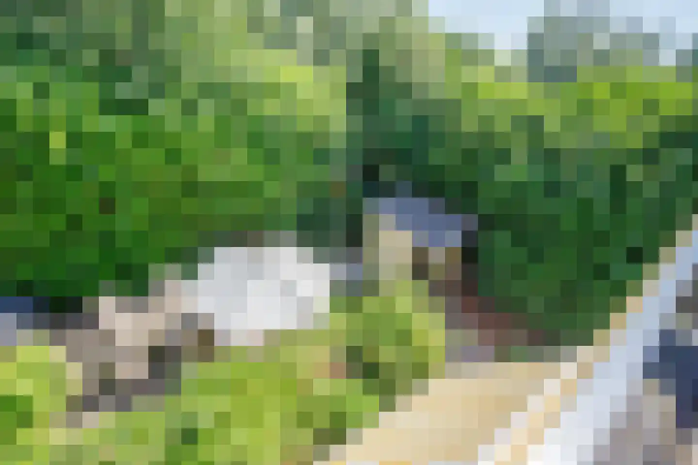 Buiten de Veste 4 Schoonhoven thumbnail 32