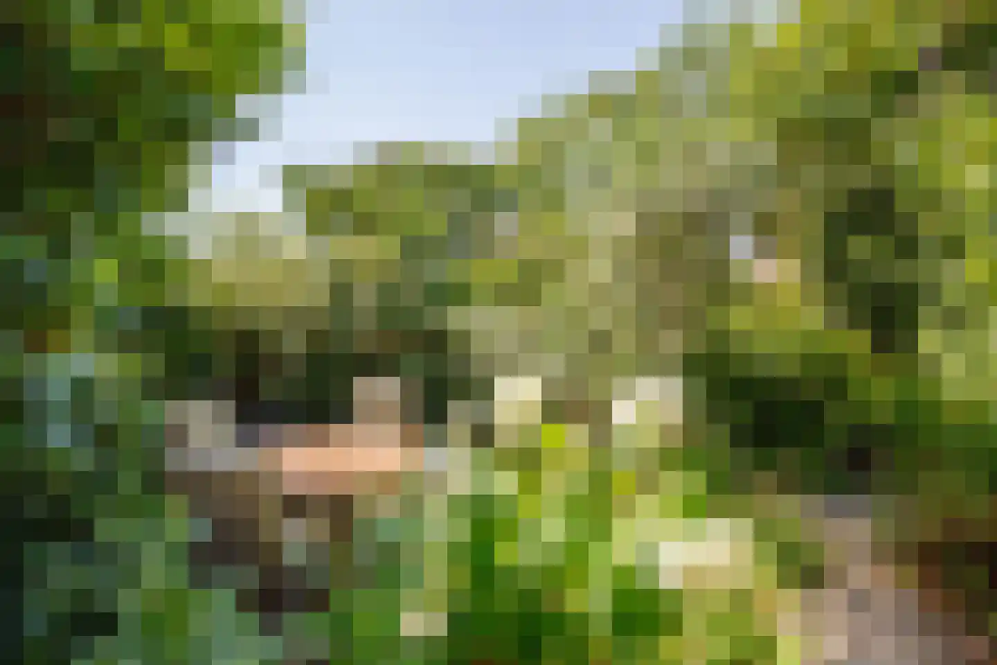 Buiten de Veste 4 Schoonhoven thumbnail 34