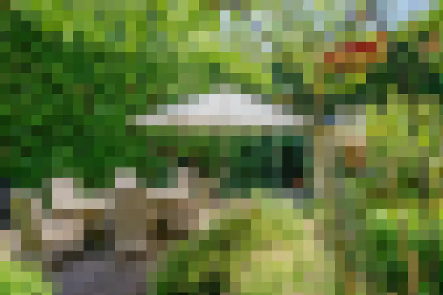 Buiten de Veste 4 Schoonhoven thumbnail 35