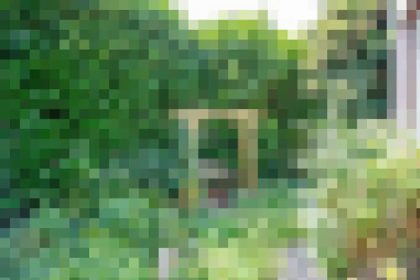 Buiten de Veste 4 Schoonhoven thumbnail 36
