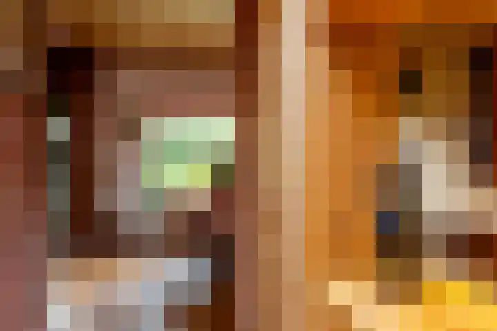 Buiten de Veste 5 Schoonhoven thumbnail 19