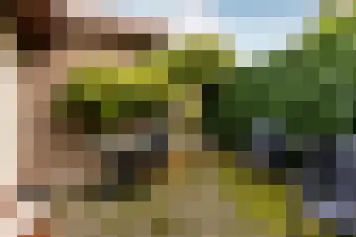 Buiten de Veste 5 Schoonhoven thumbnail 30