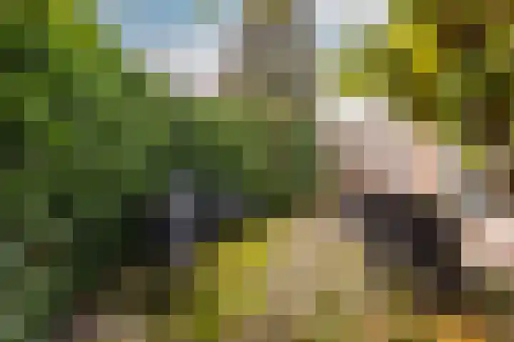 Buiten de Veste 5 Schoonhoven thumbnail 31