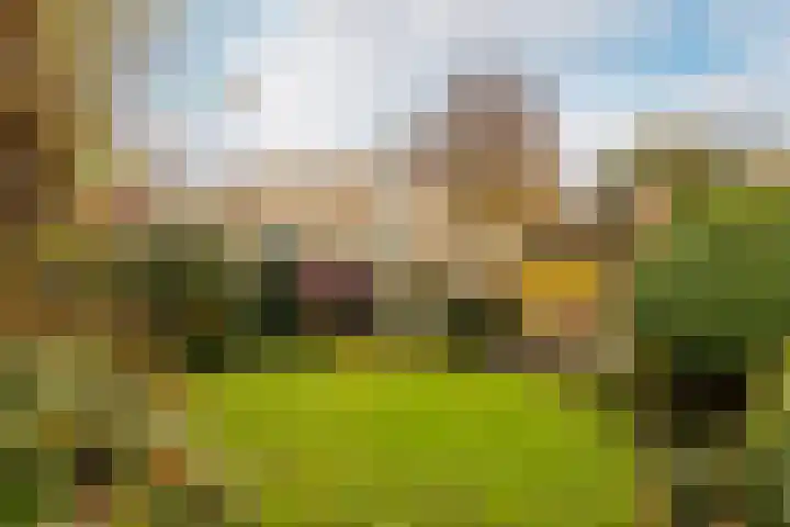 Buiten de Veste 5 Schoonhoven thumbnail 32