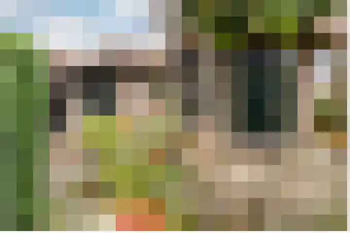 Buiten de Veste 5 Schoonhoven thumbnail 33