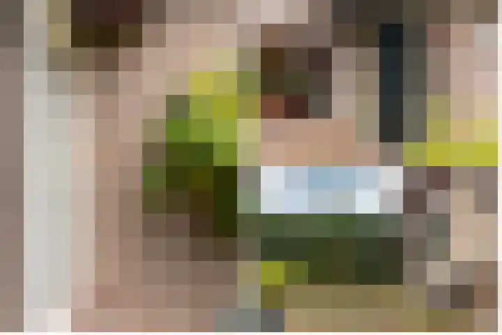 Buiten de Veste 5 Schoonhoven thumbnail 34