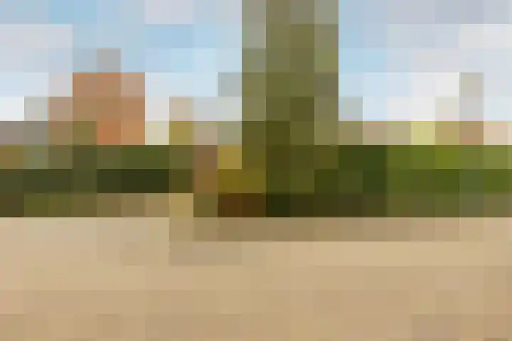 Buiten de Veste 5 Schoonhoven thumbnail 35