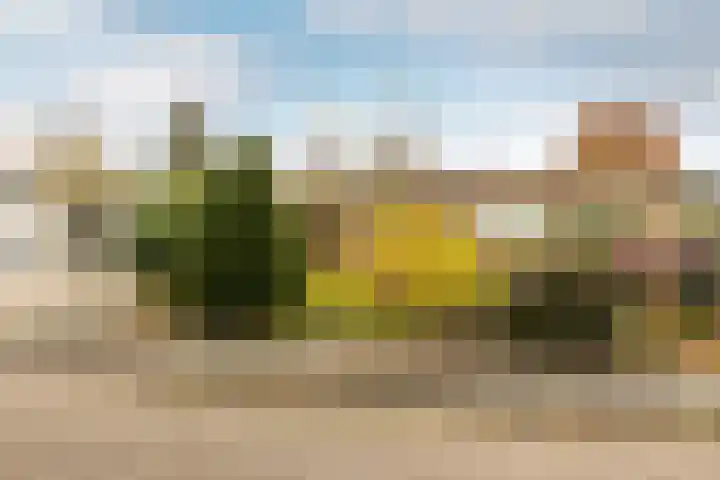 Buiten de Veste 5 Schoonhoven thumbnail 37