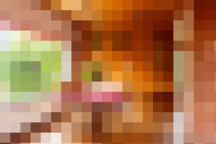 Buiten de Veste 5 Schoonhoven thumbnail 4