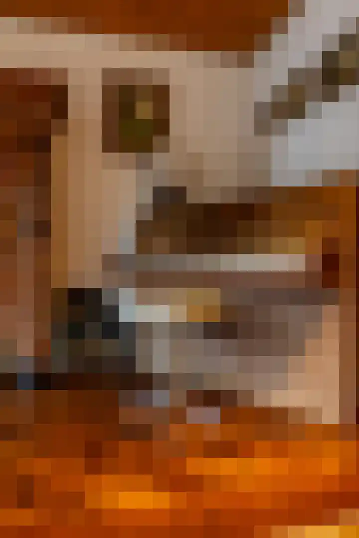 Buiten de Veste 5 Schoonhoven thumbnail 46