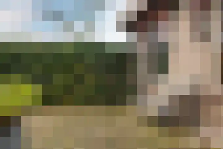 Buiten de Veste 5 Schoonhoven thumbnail 49