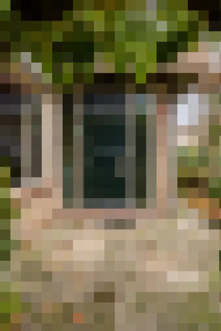 Buiten de Veste 5 Schoonhoven thumbnail 50