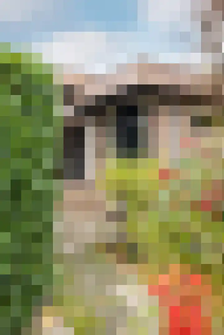 Buiten de Veste 5 Schoonhoven thumbnail 51