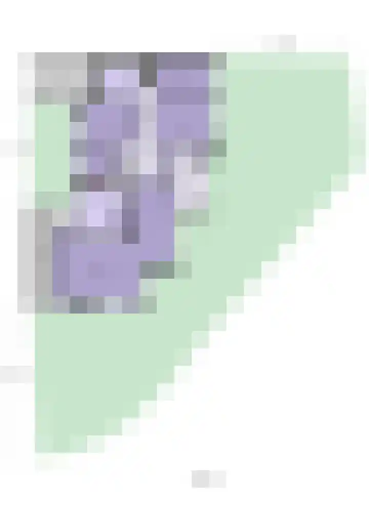 Buiten de Veste 5 Schoonhoven thumbnail 53