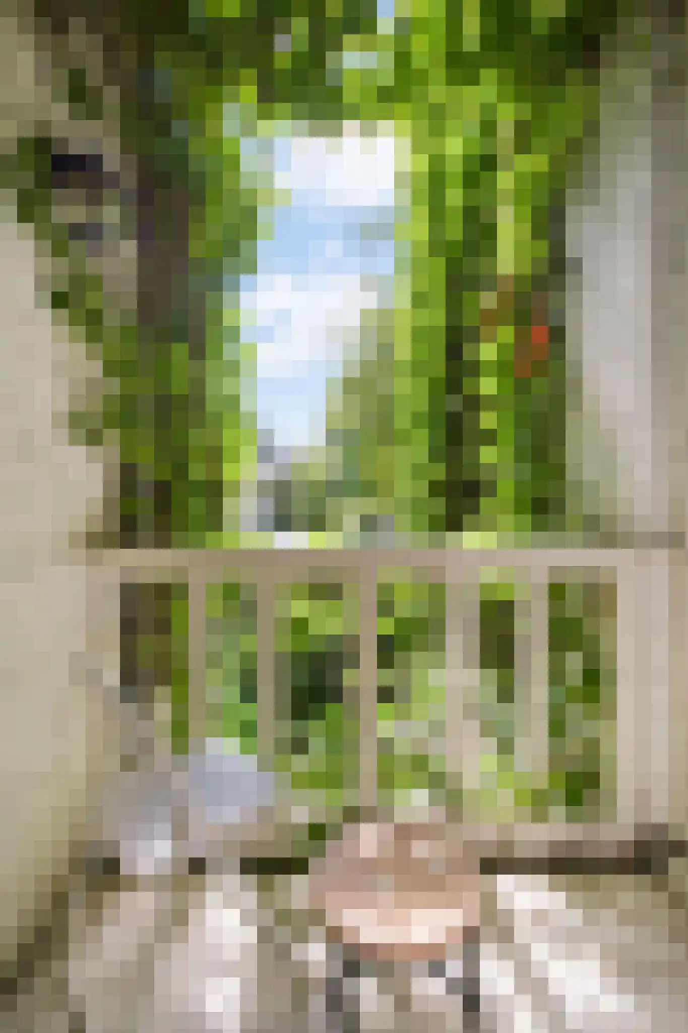 Buiten Dommersstraat 11 1 Amsterdam thumbnail 11