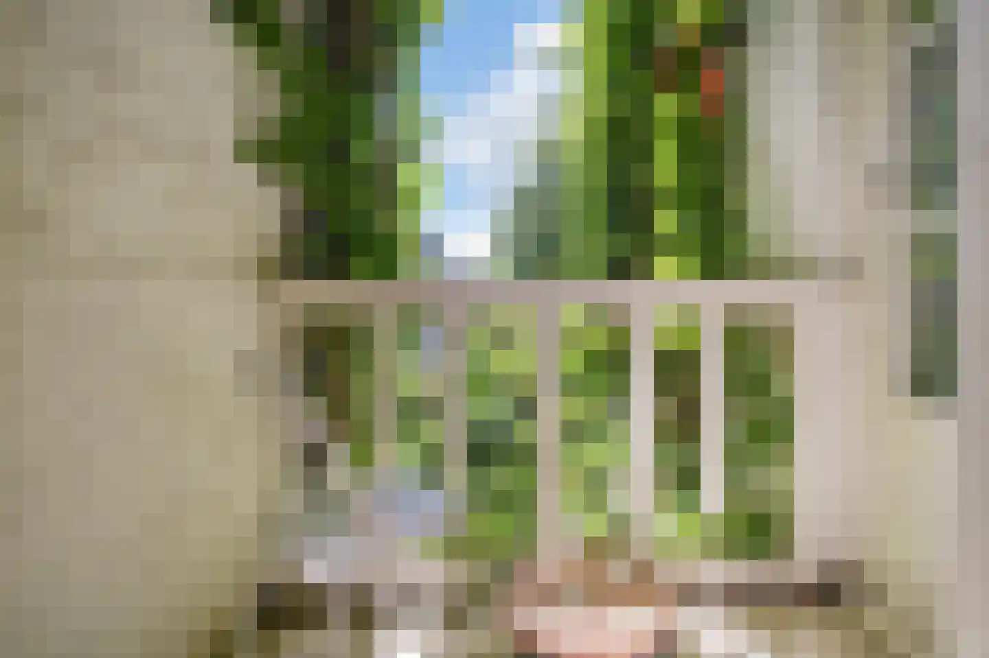 Buiten Dommersstraat 11 1 Amsterdam thumbnail 4
