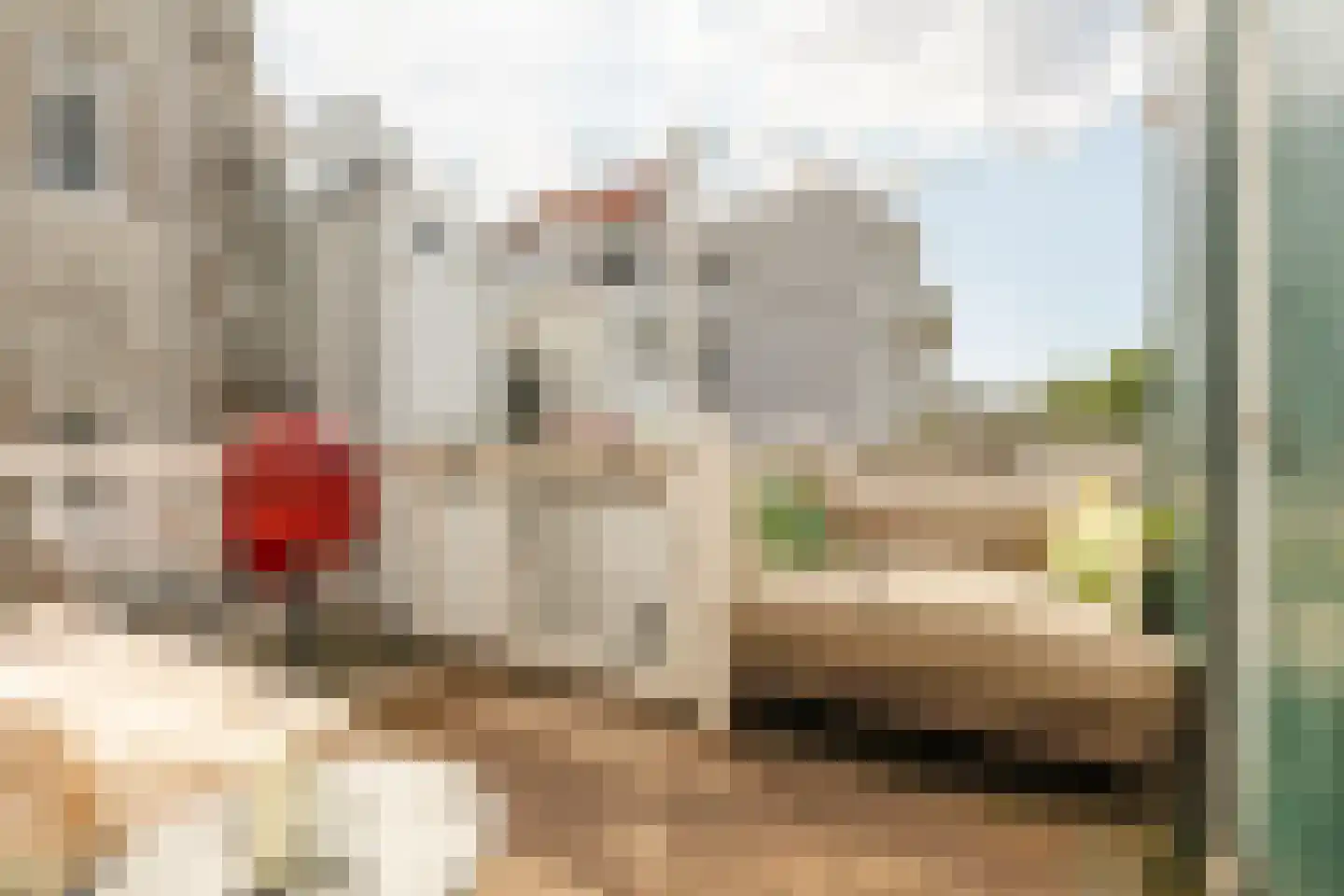 Buiten Dommersstraat 32 Amsterdam thumbnail 14