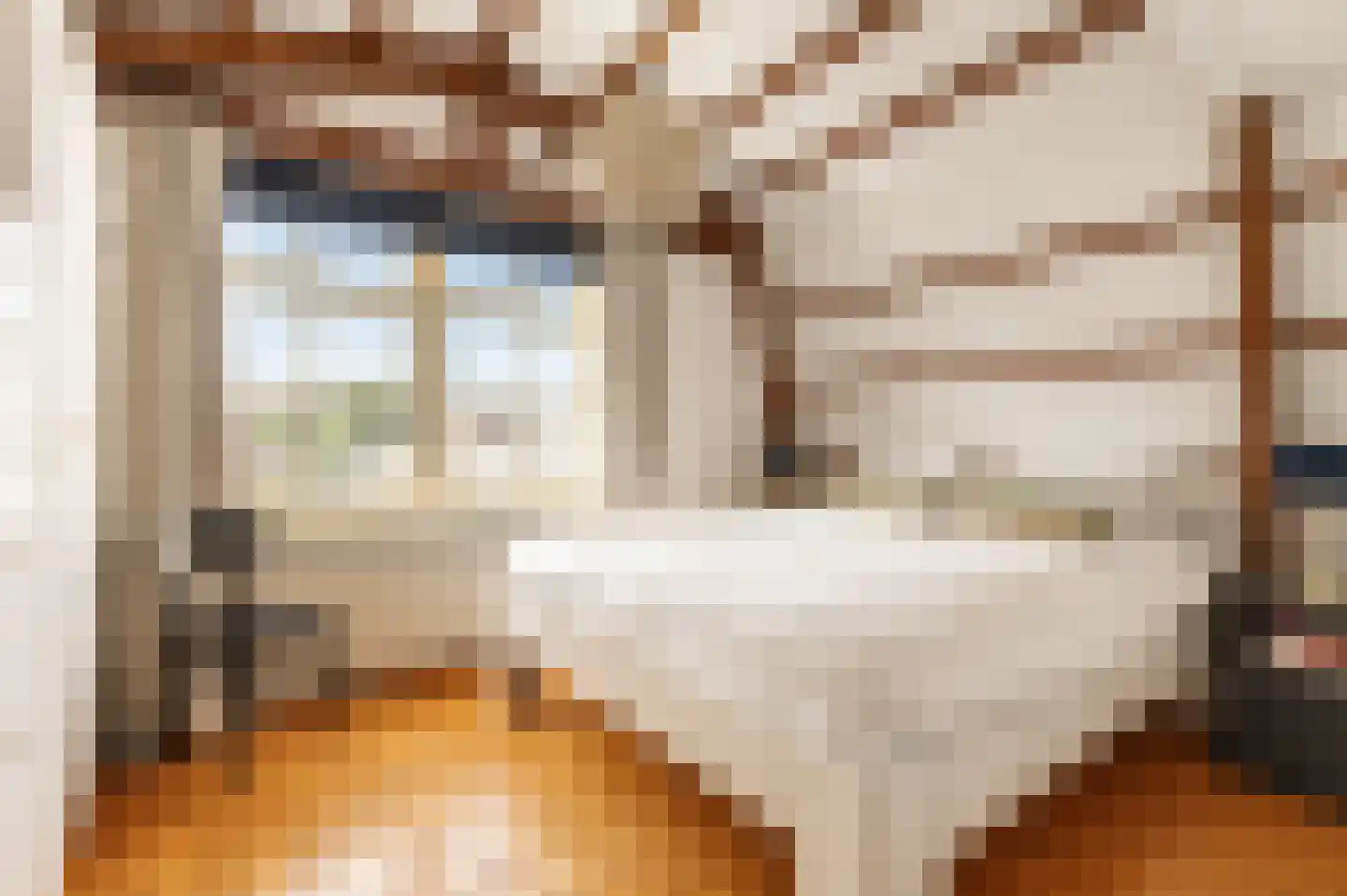 Buiten Dommersstraat 32 Amsterdam thumbnail 19