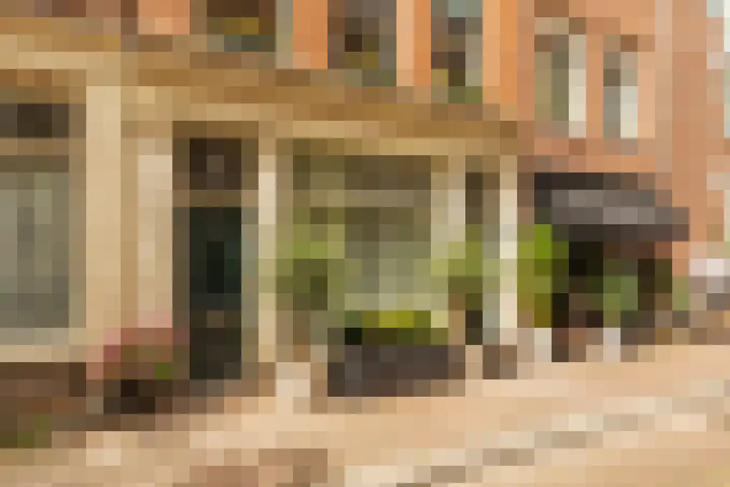 Buiten Dommersstraat 32 Amsterdam thumbnail 25